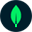 MongoDB